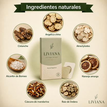 LIVIANA® | Parches Digestivos